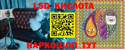 амф Камышлов