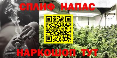 амф Камышлов