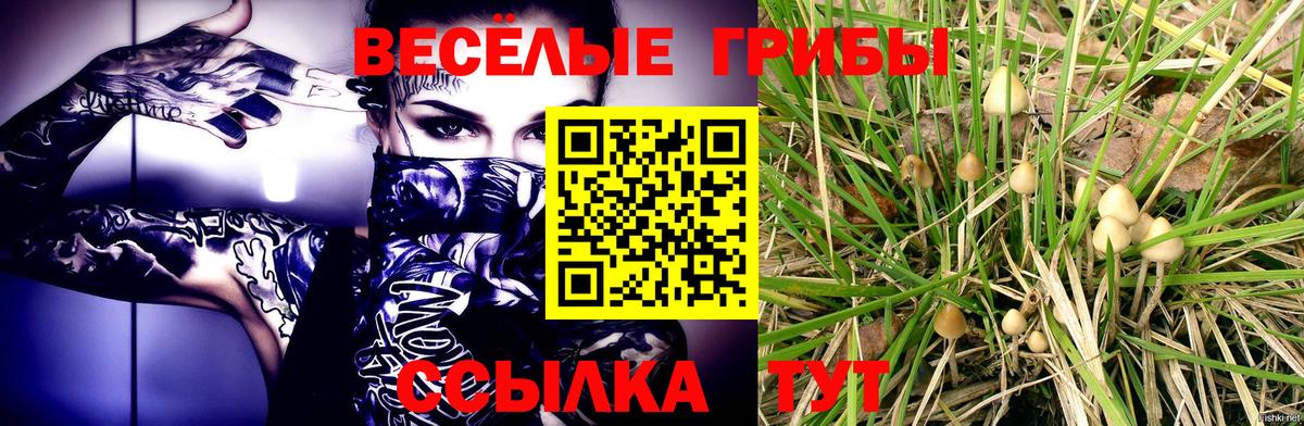 Галлюциногенные грибы Cubensis Усолье-Сибирское