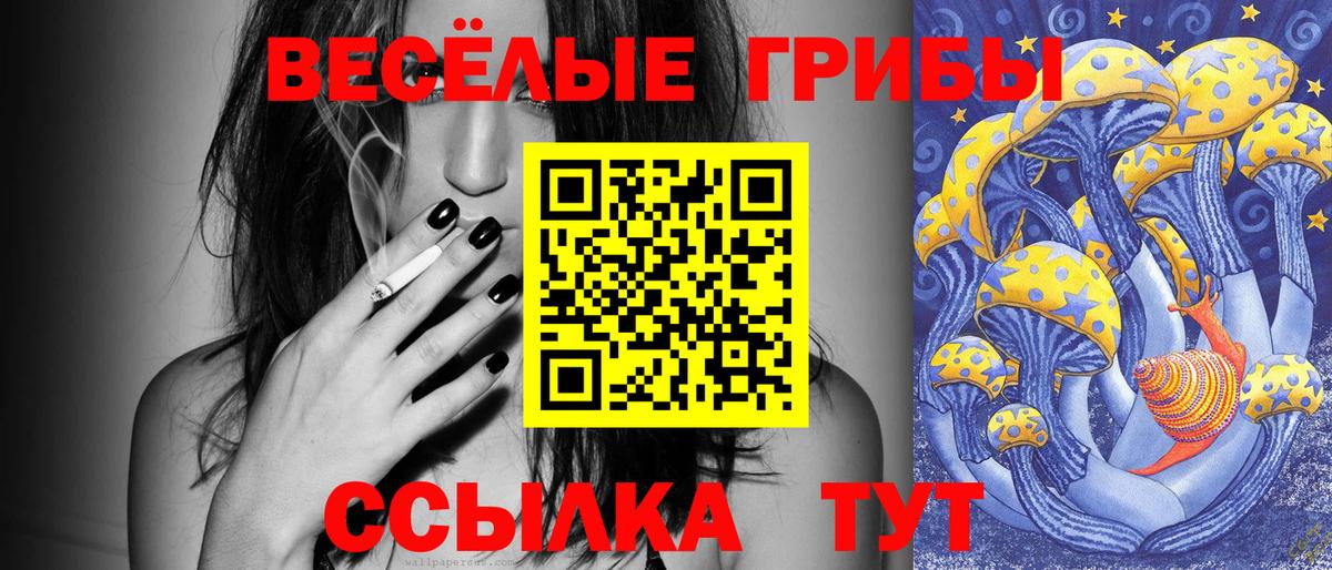 Псилоцибиновые грибы ЛСД  Вход с VPN  купить наркотики сайты  Усолье-Сибирское 